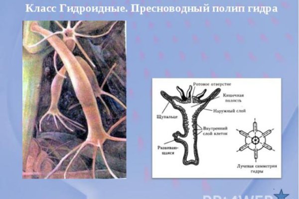 Kraken ссылка зеркало
