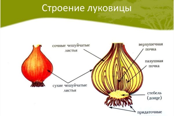 Кракен 12 at