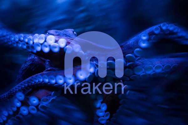 Kraken рынок